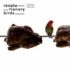 REVOLUTIONARY BIRDS (Wassim HALAL, Erwan KERAVEC, Mounir TROUDI)