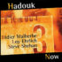 HADOUK TRIO (Didier MALHERBE, Loy EHRLICH, Steve SHEHAN) – Now