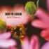 SORRY FOR LAUGHING – Rain Flowers